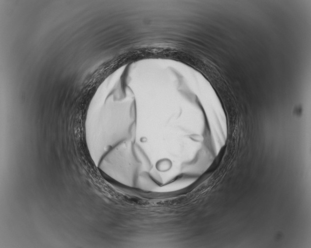 X0000115731014200912101447