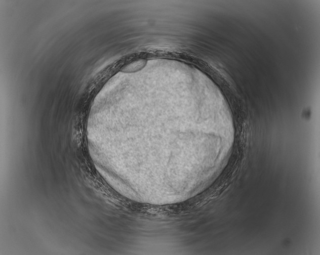 X0000115731015200912101447