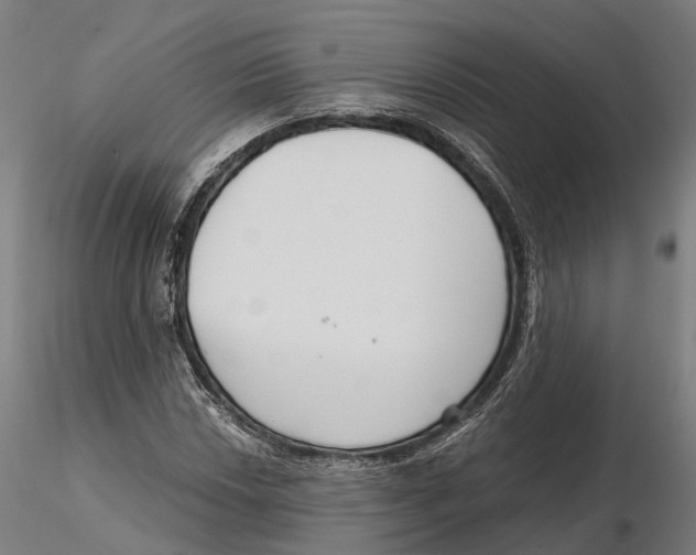 X0000115731018200912101447