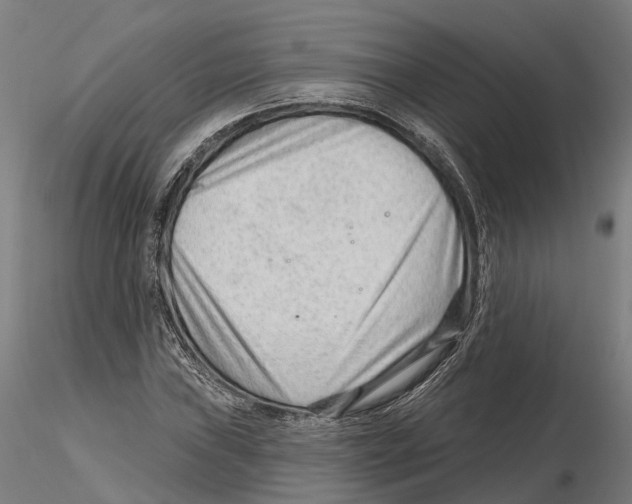 X0000115731019200912101447