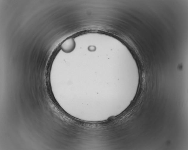 X0000115731020200912101447