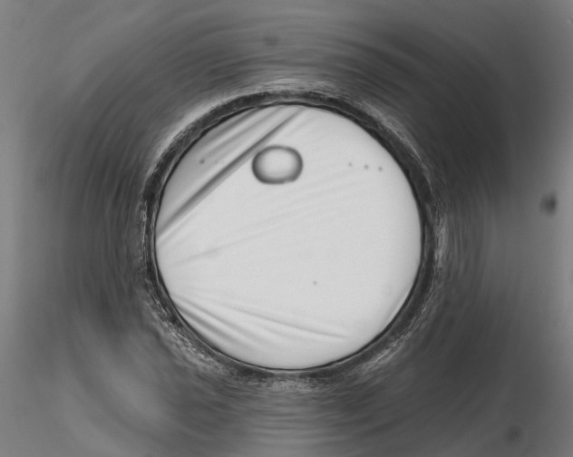 X0000115731021200912101447