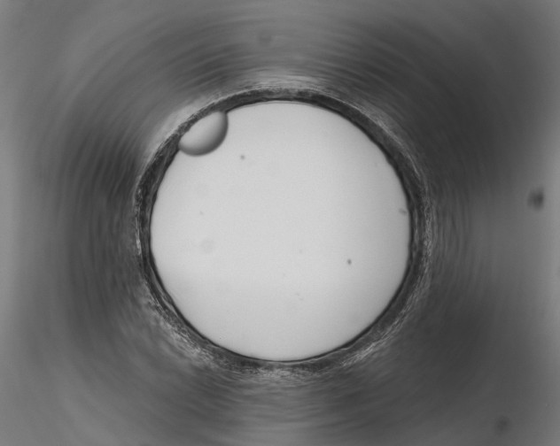 X0000115731022200912101447