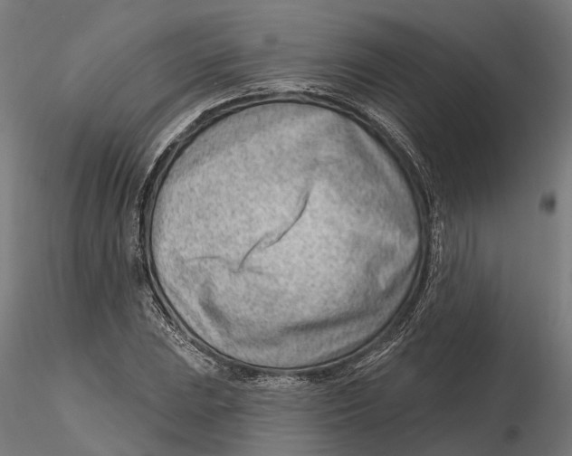 X0000115731023200912101447