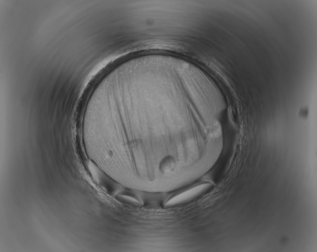 X0000115731024200912101447