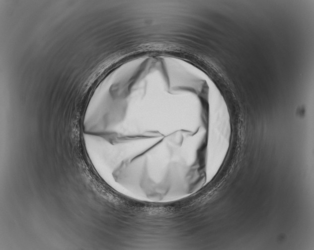 X0000115731025200912101447