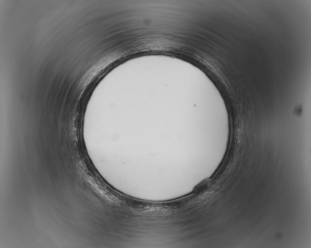 X0000115731026200912101447