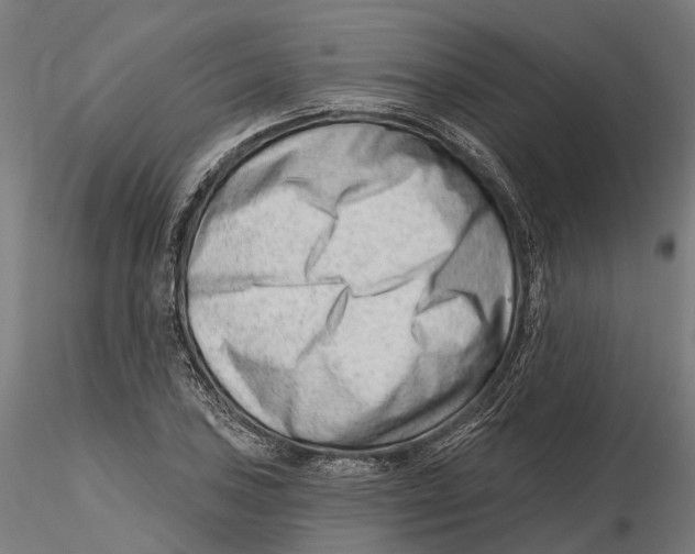 X0000115731027200912101447