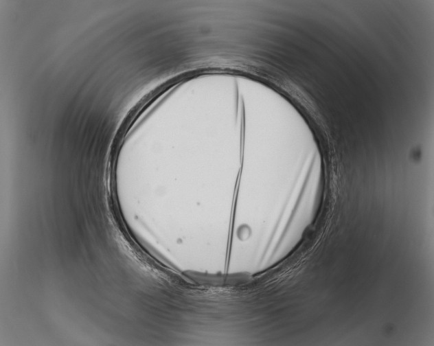 X0000115731028200912101447