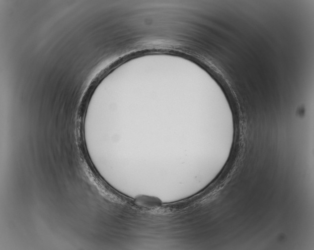 X0000115731029200912101447