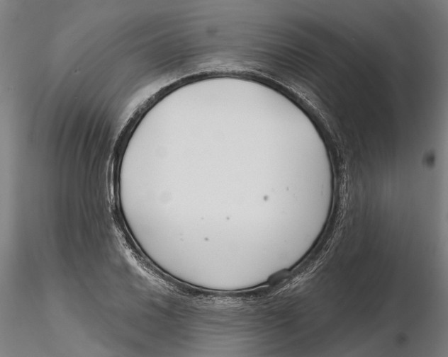 X0000115731030200912101447