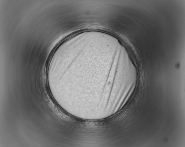 X0000115731032200912101447