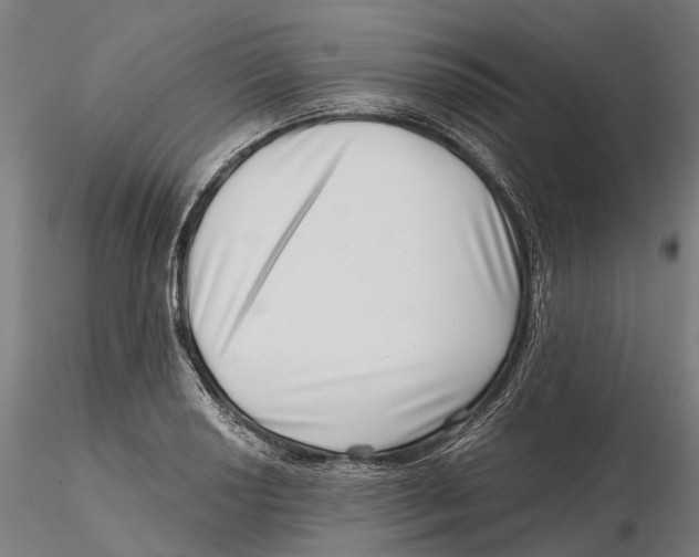 X0000115731034200912101447
