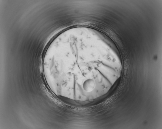 X0000115731036200912101447