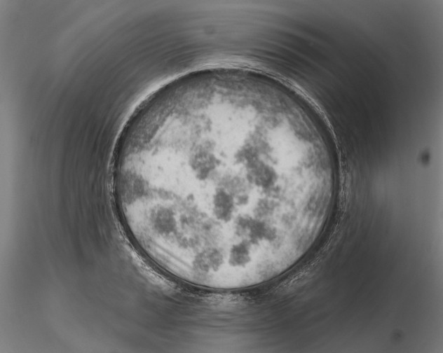 X0000115731037200912101447