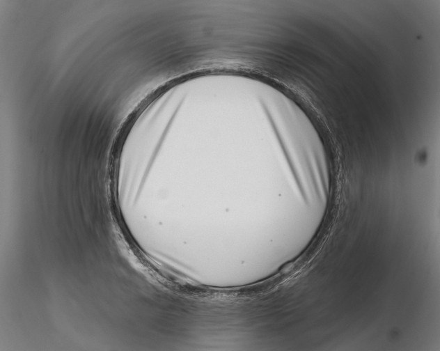 X0000115731038200912101447