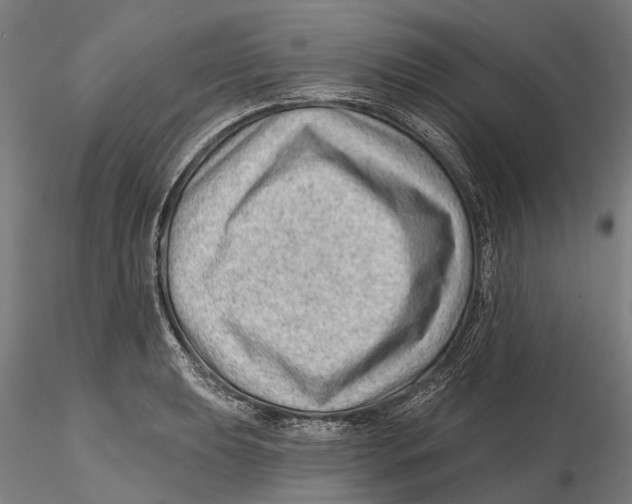 X0000115731039200912101447