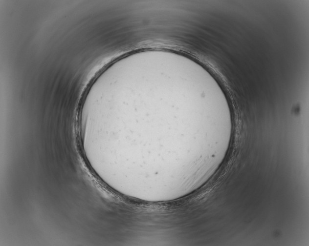 X0000115731040200912101447