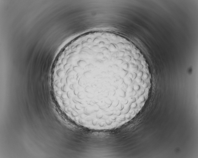 X0000115731044200912101447