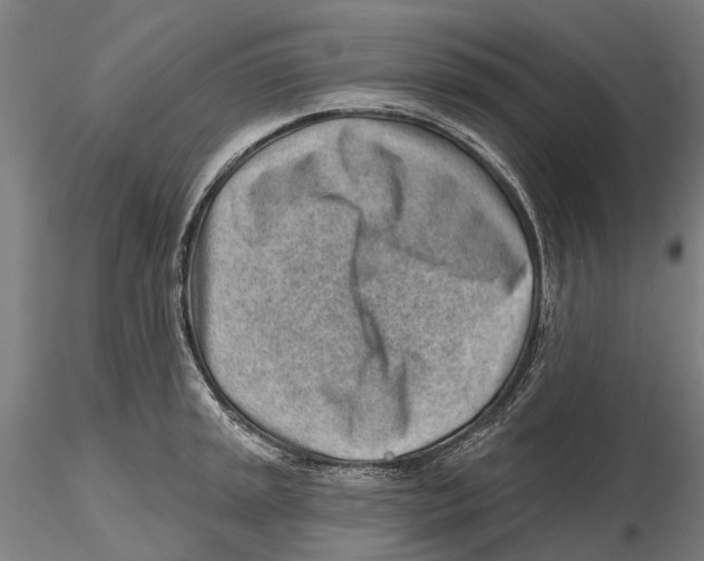X0000115731045200912101447