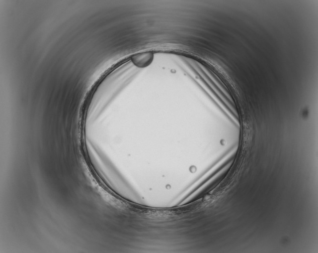 X0000115731046200912101447