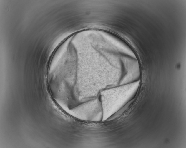 X0000115731048200912101447
