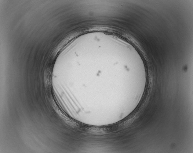 X0000115731049200912101447