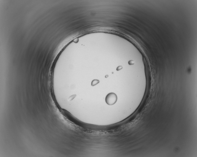 X0000115731050200912101447