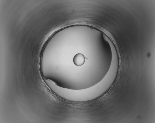 X0000115731051200912101447