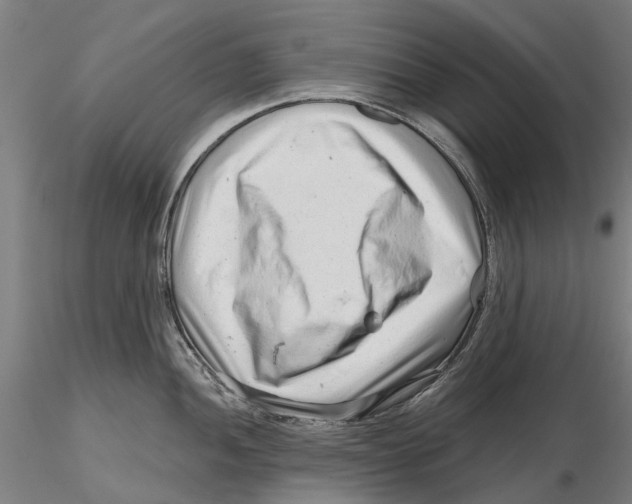 X0000115731052200912101447