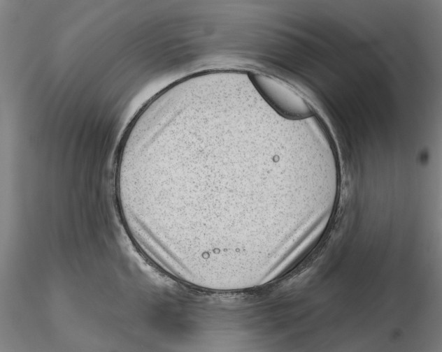 X0000115731053200912101447