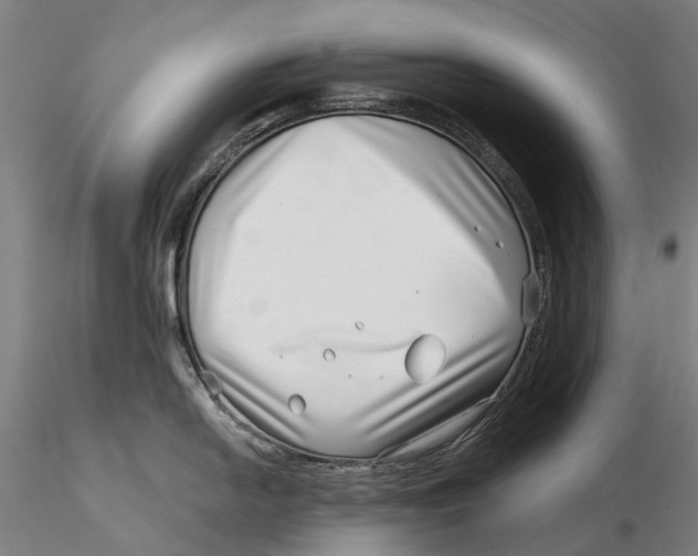X0000115731054200912101447