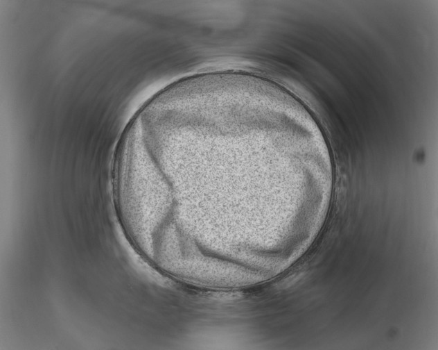X0000115731055200912101447