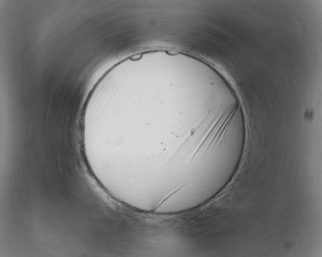 X0000115731056200912101447