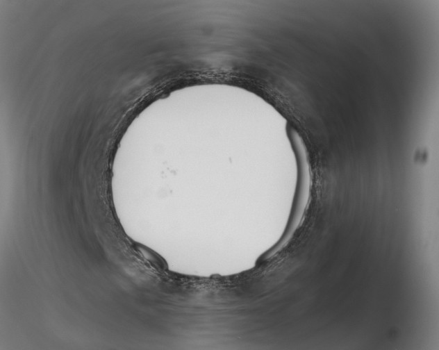 X0000115731057200912101447