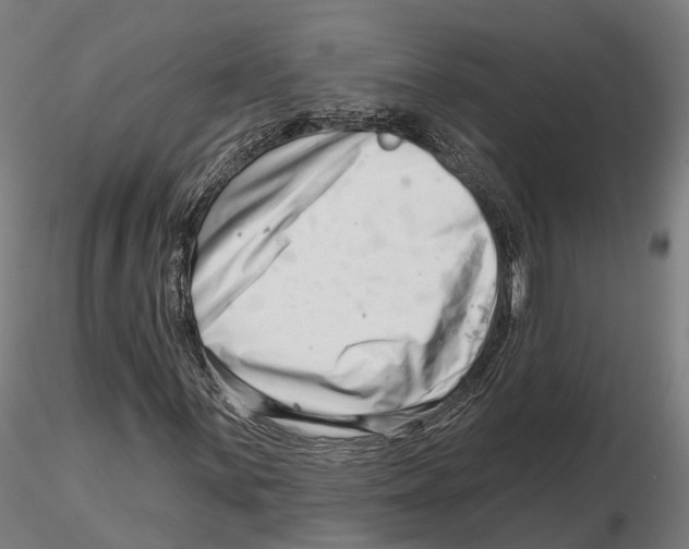 X0000115731059200912101446