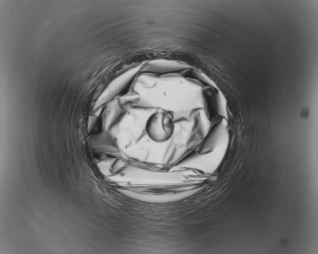 X0000115731060200912101446