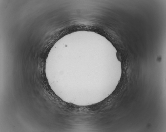 X0000115731061200912101446