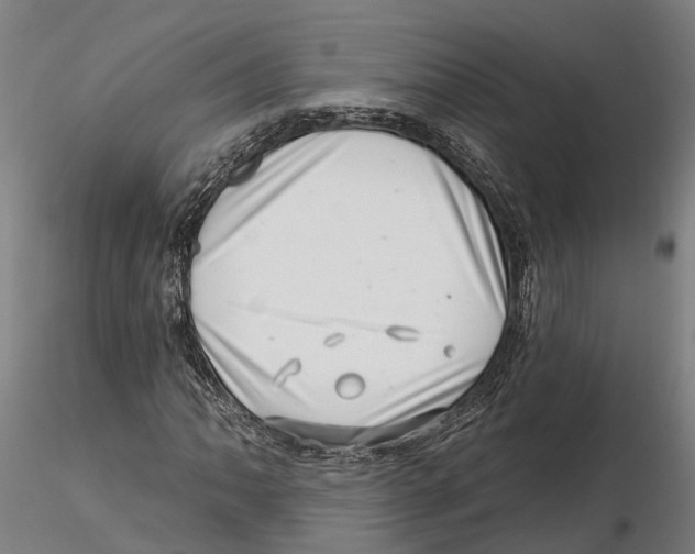 X0000115731062200912101446