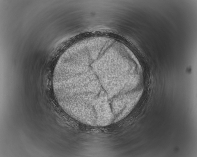 X0000115731063200912101446