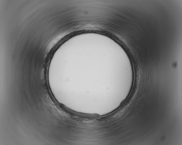 X0000115731066200912101446