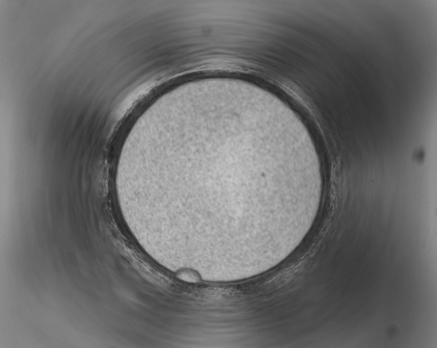 X0000115731067200912101446