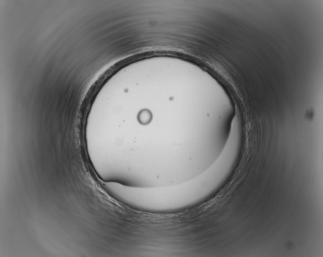 X0000115731068200912101446