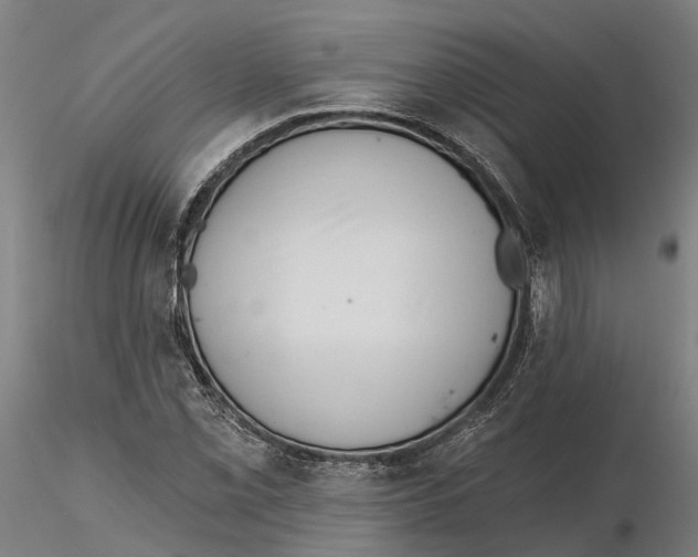 X0000115731069200912101446