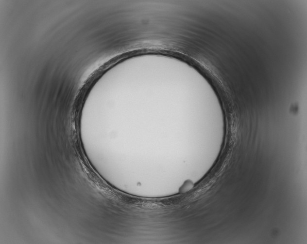 X0000115731070200912101446