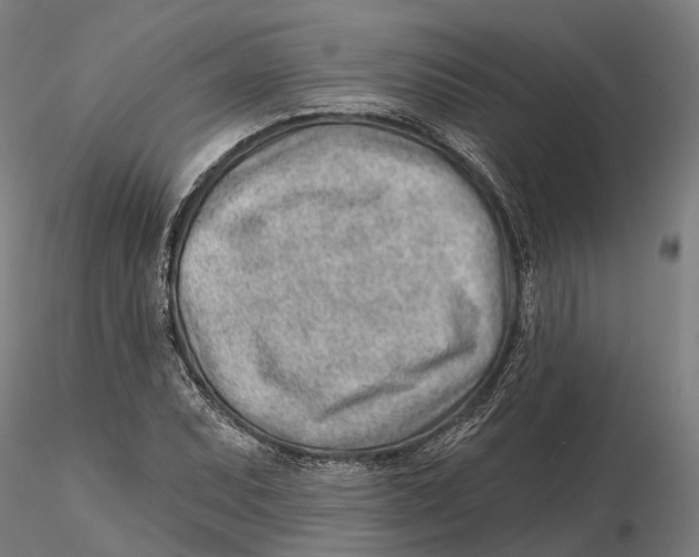 X0000115731071200912101446