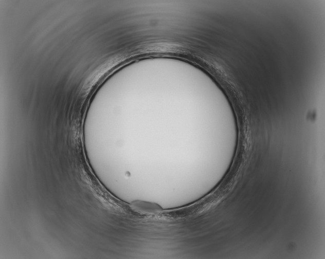 X0000115731073200912101446