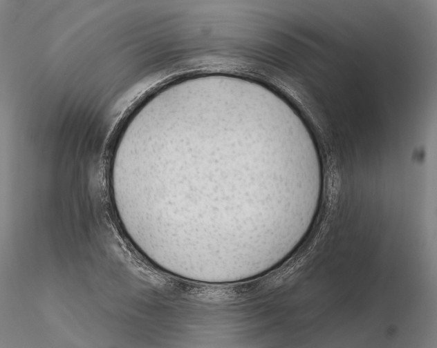 X0000115731074200912101446