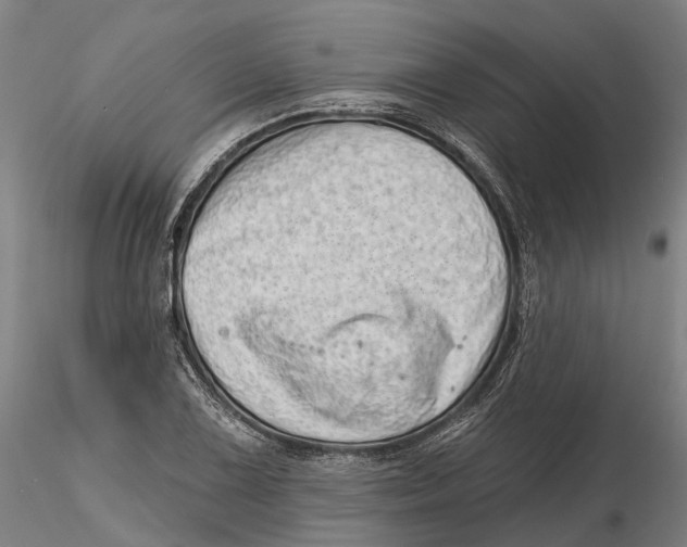 X0000115731075200912101446
