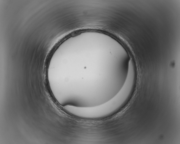 X0000115731077200912101446